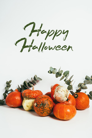 orange autumn pumpkins and eucalyptus branches with happy halloween letteringの写真素材