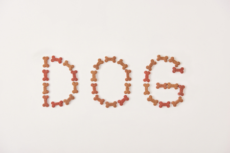 top view of lettering dog made by pet food on white surfaceの写真素材
