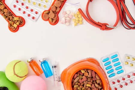 flat lay with dog collar, various pills, balls and bowl with dog food on white surfaceの写真素材