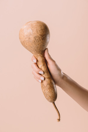 cropped shot of woman holding lagenaria isolated on beigeの写真素材