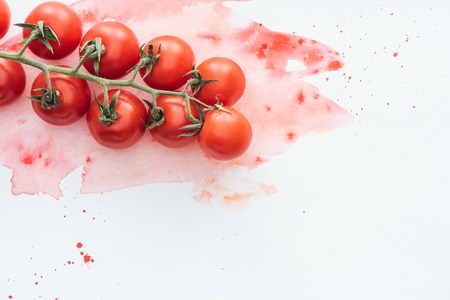 top view of branch of tasty tomatoes on white surface with red watercolor strokesの写真素材