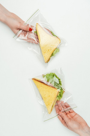 cropped image of women holding sandwiches in ziplock bags isolated on whiteの写真素材
