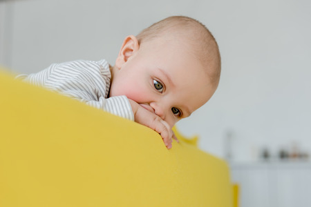 adorable infant baby boy on yellow sofaの写真素材