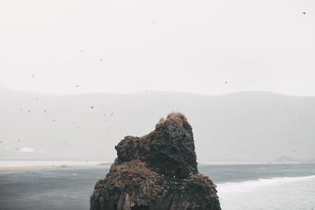 Puffins on beautiful rock formation in water near Icelandic seacoast, Vik Dyrholaey, Reynisfjara...