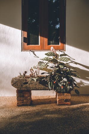 Close up view of flowerpot with plants near building on street of Phuketの写真素材