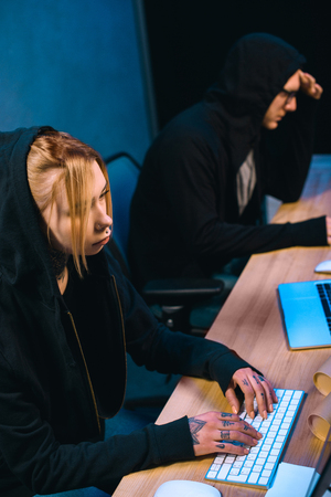 high angle view of serious female hacker working on new malware with accomplice  in dark roomの写真素材