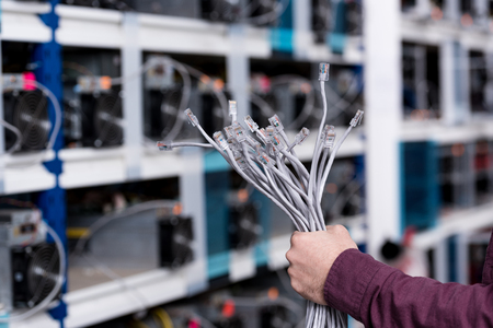 cropped shot of computer engineer holding ethernet wires at cryptocurrency mining farmの写真素材