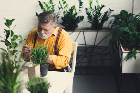handsome bearded senior man sitting at table with green potted plants
