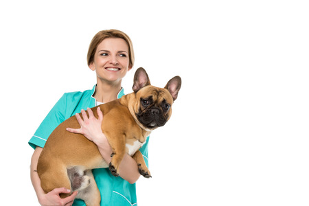 smiling young veterinarian holding french bulldog and looking away isolated on whiteの写真素材