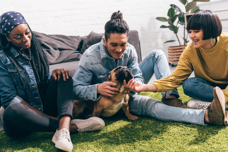 group of smiling multiethnic friends playing with dogの写真素材