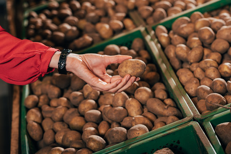 partial view of shopper choosing fresh raw potato in hypermarketの写真素材