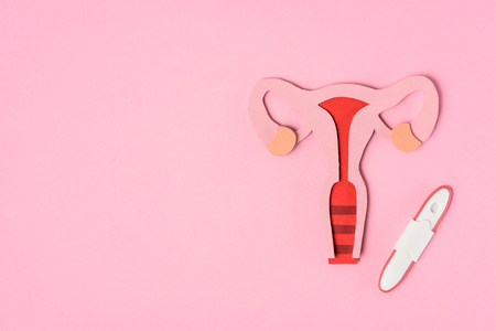 Elevated view of female reproductive system and pregnancy test on pink background