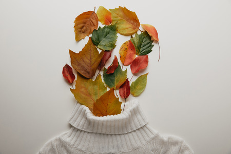Top view of white woolen sweater and fallen leaves arranged on white surfaceの写真素材