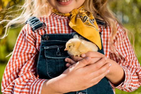 Partial view of little child holding adorable yellow baby chick outdoorsの写真素材