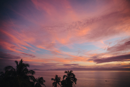 Silhouettes of palm trees and beautiful scenic seascape at sunset, Krabi, Thailandの写真素材