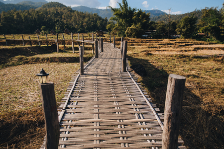 Wooden pathway through agricultural field at Pai, Thailandの写真素材