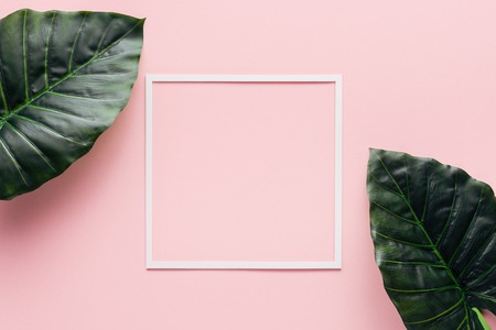 top view of white square and palm leaves on pink, minimalistic conceptの写真素材