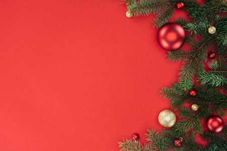 flat lay with pine tree branches with red and golden christmas balls isolated on red