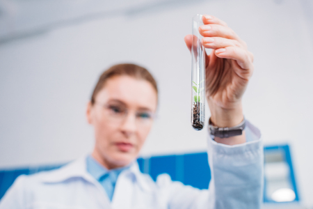 selective focus of researcher looking at tube in handの写真素材