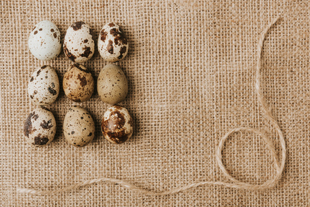 quail eggs laying in a rows on sackcloth with ropeの写真素材