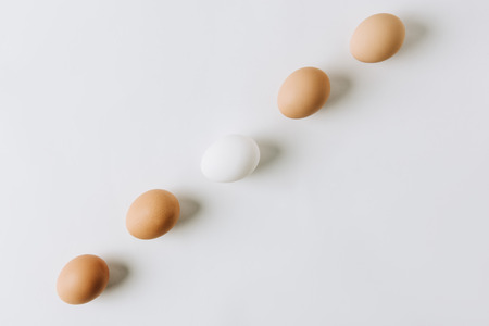 white and brown eggs in a row on white backgroundの写真素材