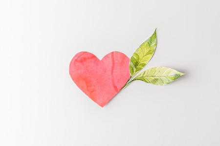 top view of red paper heart and green leaves isolated on grey, environment protection conceptの写真素材