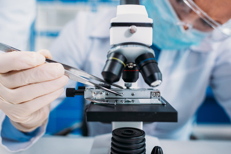 partial view of scientists working on scientific research together