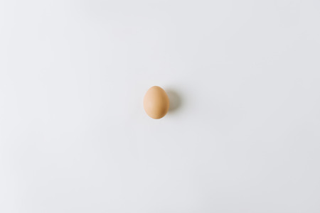 brown egg laying on white backgroundの写真素材