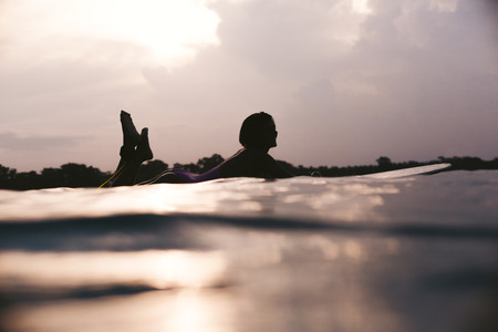 silhouette of sportswoman lying on surfing board in ocean on sunsetの写真素材