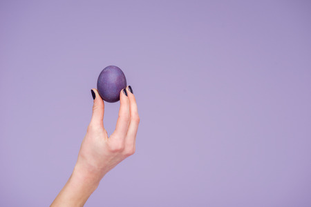 Easter egg in female hand isolated on violetの写真素材