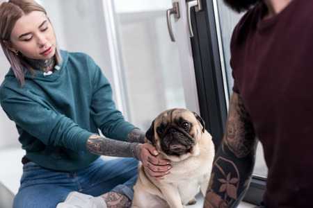 cropped image of tattooed couple sitting on windowsill with pug at homeの写真素材