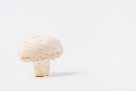 raw champignon mushroom laying on white backgroundの写真素材