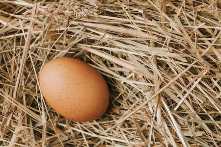 unprocessed brown egg laying on strawの写真素材