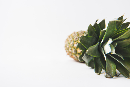 raw unpeeled pineapple laying on white backgroundの写真素材