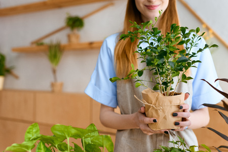 cropped shot of smiling young florist holding green houseplant in flower shopの写真素材