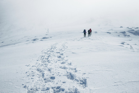 Climbers struggling winter blizzard in Gorgany mountainsの写真素材