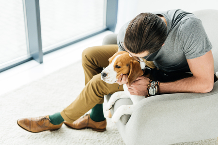 high angle view of man palming cute beagle on armchairの写真素材