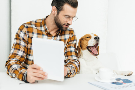 businessman sitting with tablet, dog yawning near tableの写真素材