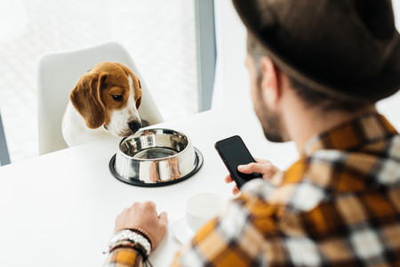 man holding smartphone and looking at dogの写真素材