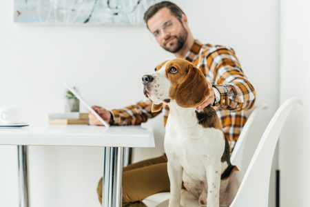 businessman with tablet palming dog in officeの写真素材
