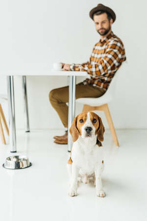 man drinking coffee, dog sitting on floorの写真素材