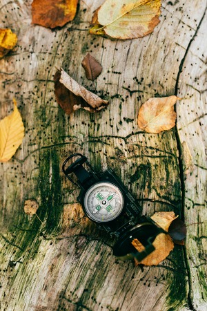 Top view on compass on aged rustic tree bark with foliageの写真素材