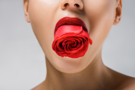Young woman holding red rose in mouthの写真素材