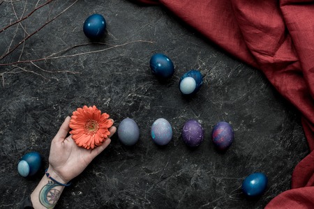 Woman holding gerbera by colored eggs on dark backgroundの写真素材