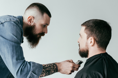 barber trimming customer beard at barbershop isolated on whiteの写真素材