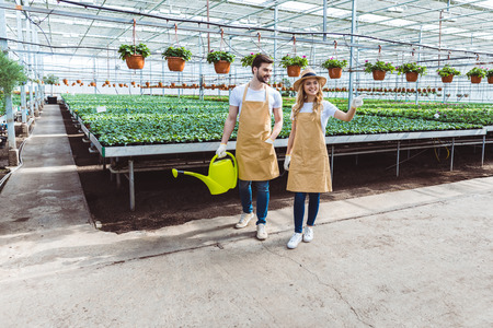 Woman with rake and man with watering can working in glasshouseの写真素材
