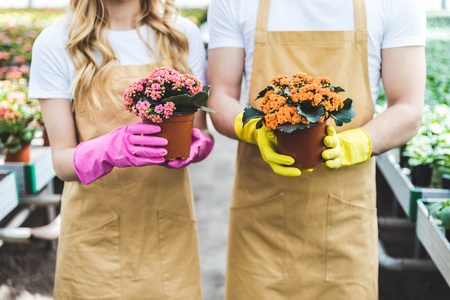 Couple of gardeners in gloves holding pots with flowersの写真素材