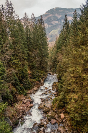 view of river stream surrounded by trees and stones on shores, hills on background, Morskie Oko, Sea Eye, Tatra National Park, Polandの写真素材