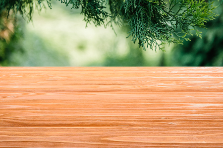 template of orange wooden floor on blurred green background with pine leavesの写真素材