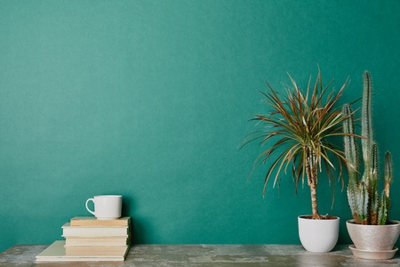Plants in flowerpots and cup of coffee on books on green background